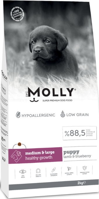 Molly Medium Puppy Kuzu Etli & Yaban Mersinli Orta ve Büyük Irk Yavru Köpek Maması 2 Kg