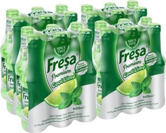 Freşa Premium Cool Lime Maden Suyu 250 Ml X 24 (1 Koli)