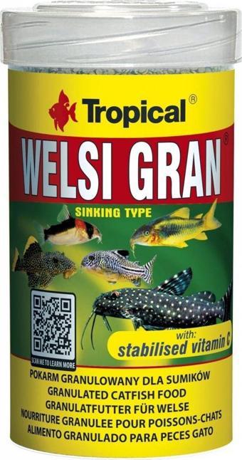 Tropical Welsi Gran Akvaryum Balık Yemi 100 ml