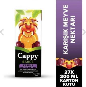 Cappy Bahçe Karışık Meyve Suyu 200 ml (27'li Koli)