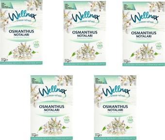 Wellnax Breeze Refresh Dolap Ve Çekmece Kokusu Osmanthus Notaları Kesesi X5