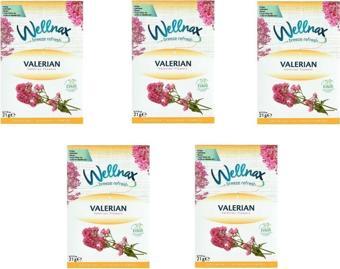 Wellnax Breeze Refresh Dolap Ve Çekmece Kokusu Valerian Çiçeği Kesesi X5