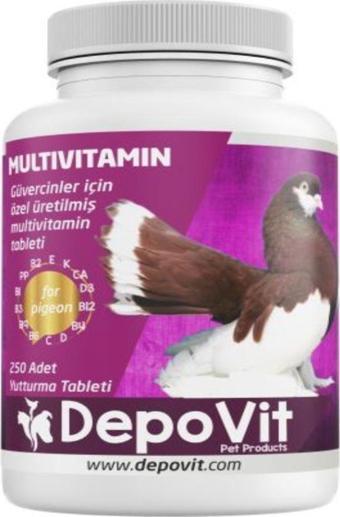 DEPOVİT Depovit Enerji ,Vitamin Desteği Multivitamin Tablet 250Li