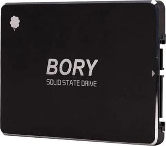 1 Tb Bory Sata3 R500-c1t Ssd 550/510 Mbs (3 Yıl Garantili)