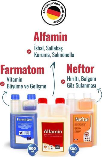 Munich Vet 3Lü Set Farmatom Vitamin + Alfamin  + Neftor Hırıltı Seti - 500 Ml