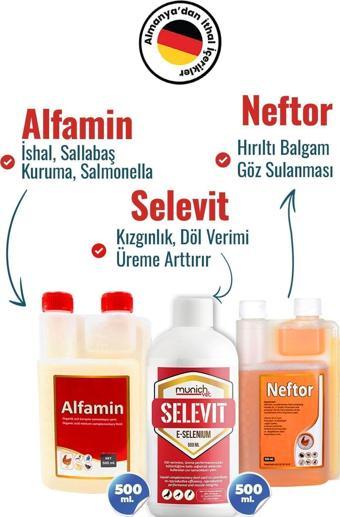 Munich Vet 3Lü Süper Set Selevit Üreme-Neftor Hırıltı-Alfamin 500Ml