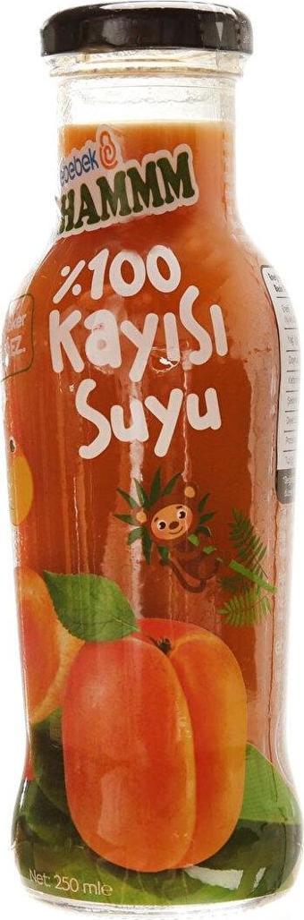 HAMMM Kayısı Suyu 250 ml