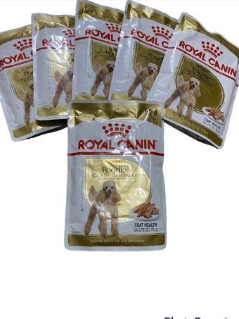 Royal Canin Poodle Adult Pouch Yaş Köpek Maması Konserve Köpek Maması 6X85 Gr