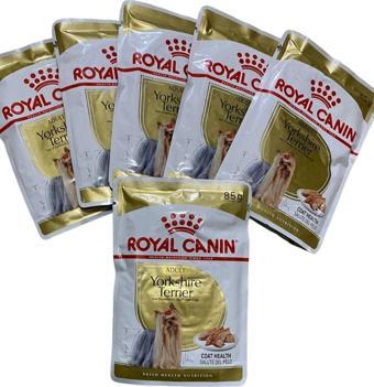 Royal Canin Terrier Adult Pouch Yaş Köpek Maması Konserve Köpek Maması 6X85Gr