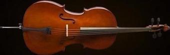 CE160F44 CELLO 4/4 SCALE +KILIF+YAY, KARARTILMIŞ AKÇAAĞAÇ B