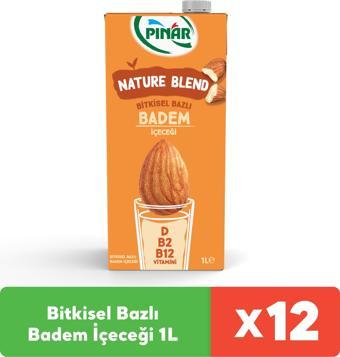 Pınar Nature Blend Bitkisel Bazlı Badem İçeceği 1 L Vegan Laktozsuz x 12 Adet