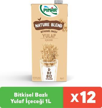 Pınar Nature Blend Bitkisel Bazlı Yulaf İçeceği 1 L Vegan Laktozsuz İlave Şekersiz x 12 Adet