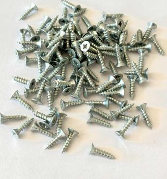 Sunta vidası 3x13 mm 1000 adet nikel renk