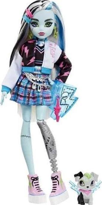 Monster High Frankie Stein Ana Karakter Bebekler,  HHK53