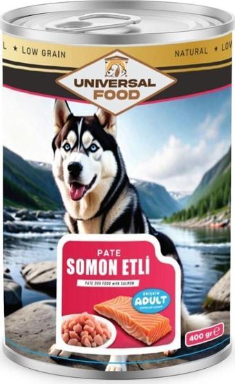 Universal Food Exquisite Pate Somon Etli Köpek Konserve 400G*20 Adet Fiyatı