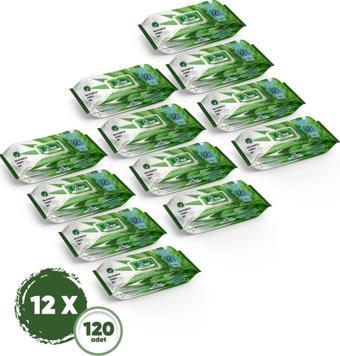 DEX Aloe Vera Islak Havlu 12 Adet 120'li