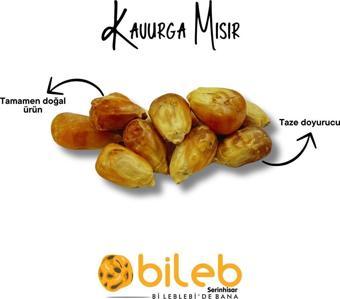 Bileb Serinhisar Bi Leblebi'De Bana Kavurga Mısır 1 Kg