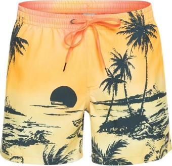 Quiksilver EQYJV03999 Paradise 15 M Jamv Erkek Şort Mayo