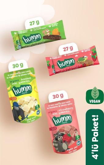 Humm Organic Organik Vegan Meyveli Küp & Yulaf Bar Atıştırmalık Paketi - 4 adet (4 çeşit)