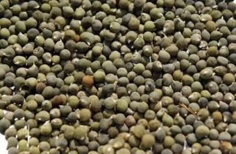 Dökme Baharat Bamya Tohumu 250 Gr