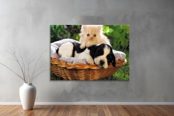 Hayvanlar ( Animal's) Kanvas Yatay Tablo331 