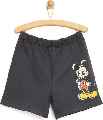 Disney 24Y Mickey Mouse Şort Erkek Bebek