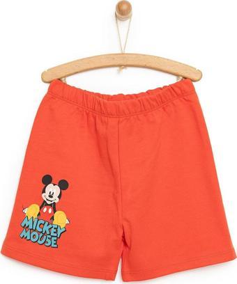 Disney 24Y Mickey Mouse Şort Erkek Bebek