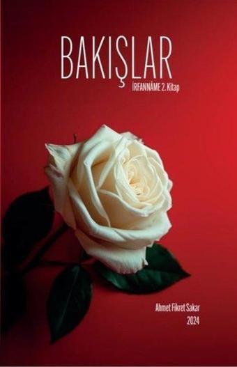 Bakışlar - İrfanname 2. Kitap - Ahmet Fikret Sakar - Zinde Yayınevi