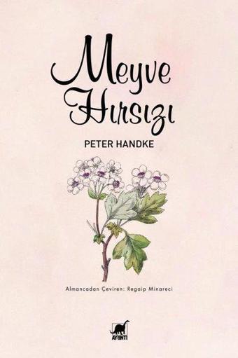 Meyve Hırsızı - Peter Handke - Ayrıntı Yayınları