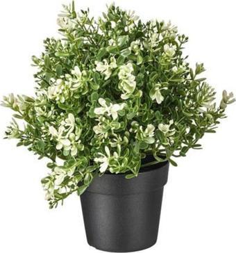 IKEA Saksı Fejka Yapay Dekoratif Çiçek Kekik 22 Cm Bej