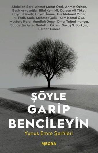 Şöyle Garip Bencileyin - Yunus Emre Şerhleri - Kolektif  - Mecra Kitap