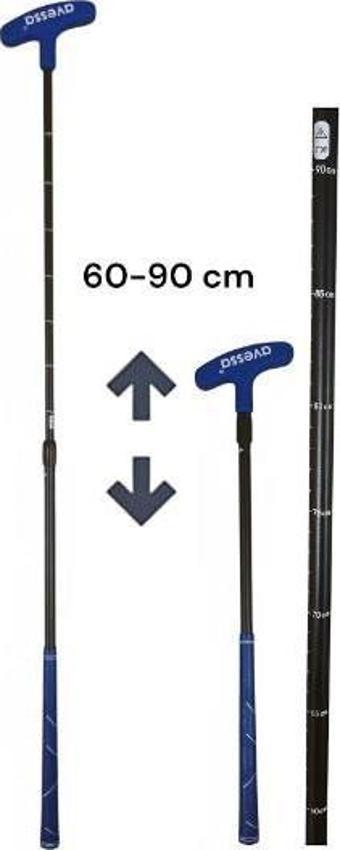 Avessa Gb-190 Ayarlanabilir Golf Sopası Mavi