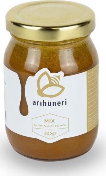 Arı Hüneri Mix (Arı Sütü-Bal-Polen-Propolis) 225 Gr