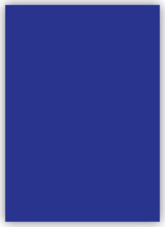 Bigpoint Fon Kartonu 50x70cm 120 Gram Lacivert