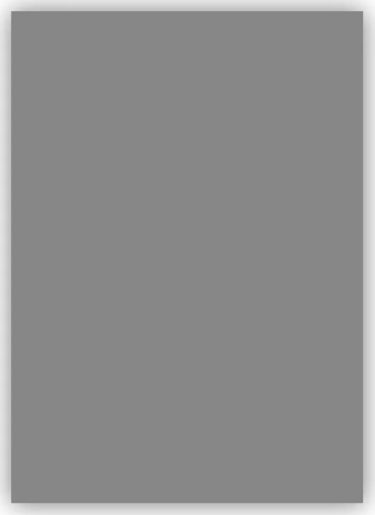 Bigpoint Fon Kartonu 50x70cm 160 Gram Gri