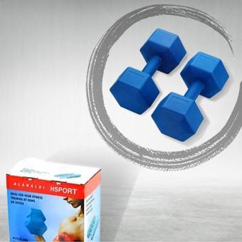 Hsport Yüksek Kalite Içi Demir Tozu Dambıl Ağırlık Seti 2X4 Kg Dumbell Set