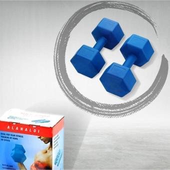 Hsport Yüksek Kalite Içi Demir Tozu Dambıl Ağırlık Seti 2X8 Kg Dumbell Set