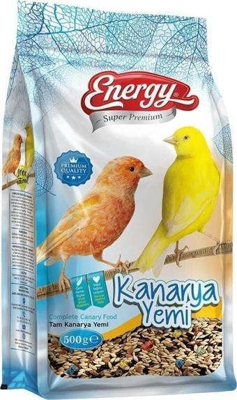 Pet Food Energy Kanarya Yemi 500 G