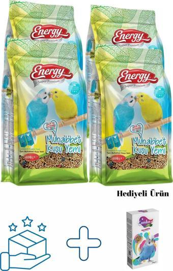 Pet Food Energy Muhabbet Kuşu Yemi 400 G -4 Adet