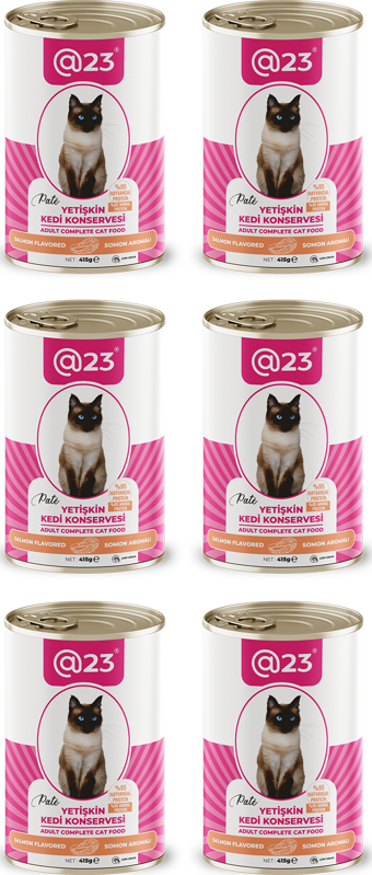 @23 Yetişkin Kedi Konservesi Somon Aromalı 415 g x 6 adet