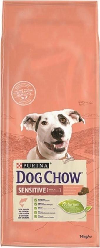 Dog Chow Somonlu Yetişkin Köpek Maması 14 Kg