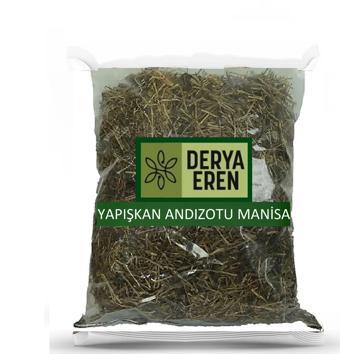 Yapışkan Andız Otu 50 Gr.(Paket-Bitki) 1Adet