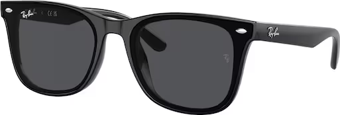 Ray-Ban 0RB4420 601/87 65*18*145 Erkek Güneş Gözlüğü