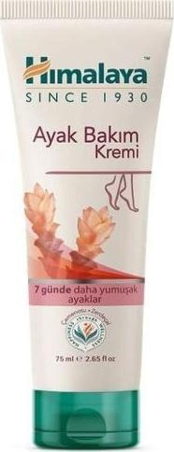 Himalaya Ayak Bakım Kremi 75 ML