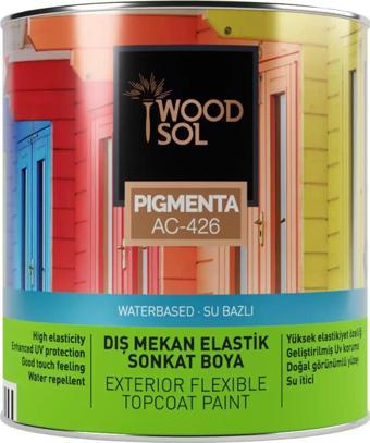 Woodsol Pigmenta Elastik Sonkat Ahşap Boyası 1000 Bianco 2.5 l