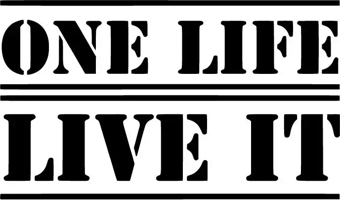 One Life Live It Sticker 20 x 12 cm