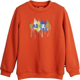 Bad Bear Hued Sweatshirt 24.06.12.005-C38