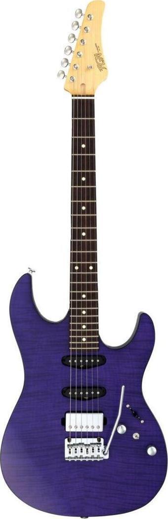 Fujigen Odyssey Elektro Gitar JOS2DUFMR/TPF