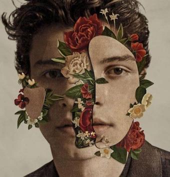 Island Records UK Shawn Mendes Plak - Shawn Mendes