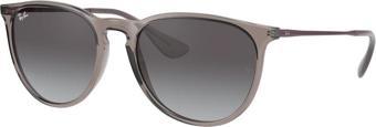 Ray-Ban RB4171 65138G 54 Unisex Güneş Gözlüğü